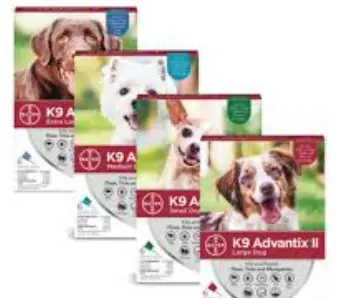 pet flea meds