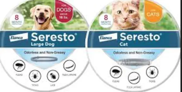 pet flea meds