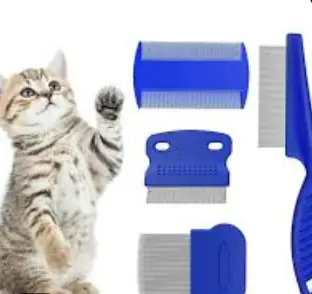 Get Rid Of Fleas On Cats In 3 Easy Steps