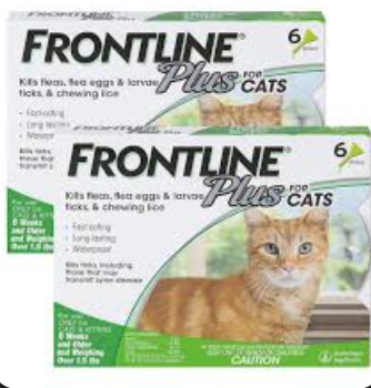 topical cat flea medication