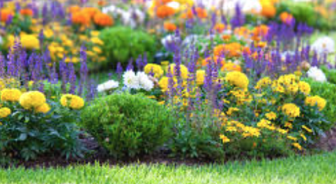 prevent ticks with natural landscaping